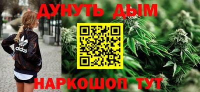 крисы Будённовск